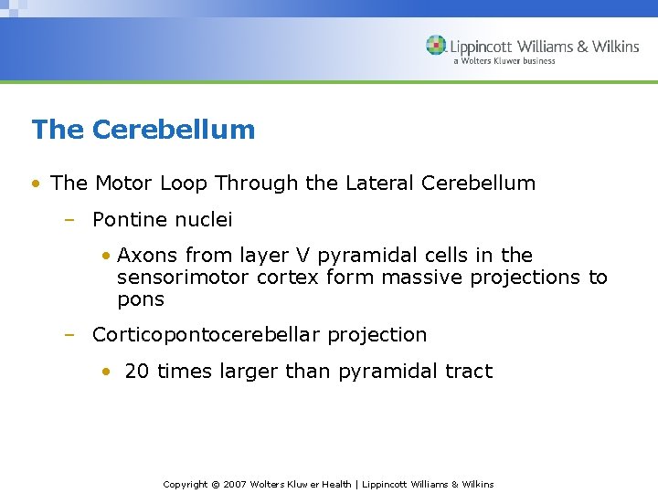 The Cerebellum • The Motor Loop Through the Lateral Cerebellum – Pontine nuclei •
