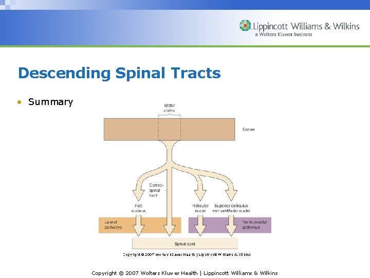Descending Spinal Tracts • Summary Copyright © 2007 Wolters Kluwer Health | Lippincott Williams