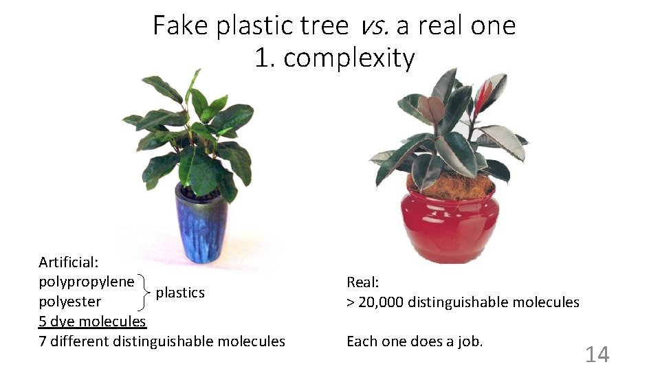 Fake plastic tree vs. a real one 1. complexity Artificial: polypropylene plastics polyester 5