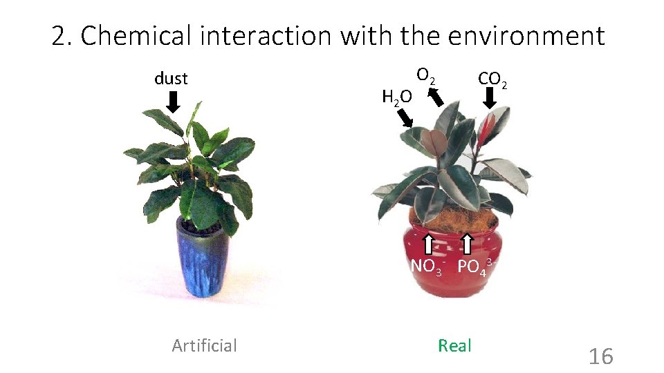 2. Chemical interaction with the environment dust H 2 O O 2 CO 2