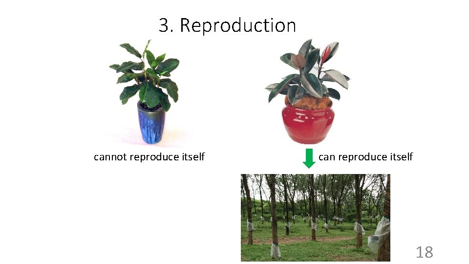 3. Reproduction cannot reproduce itself can reproduce itself 18 