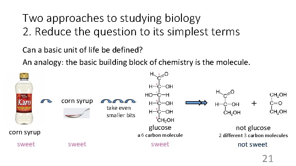 Two approaches to studying biology 2. Reduce the question to its simplest terms Can