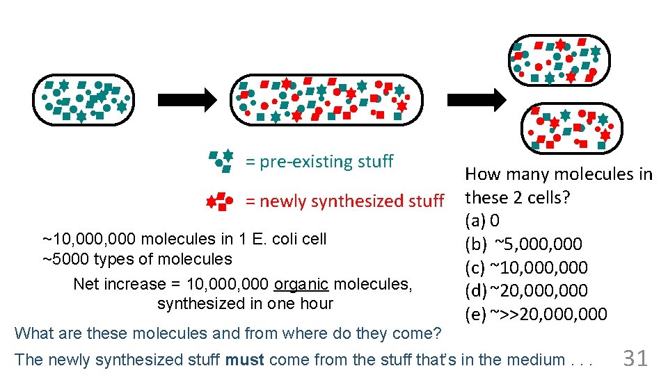 = pre-existing stuff = newly synthesized stuff ~10, 000 molecules in 1 E. coli