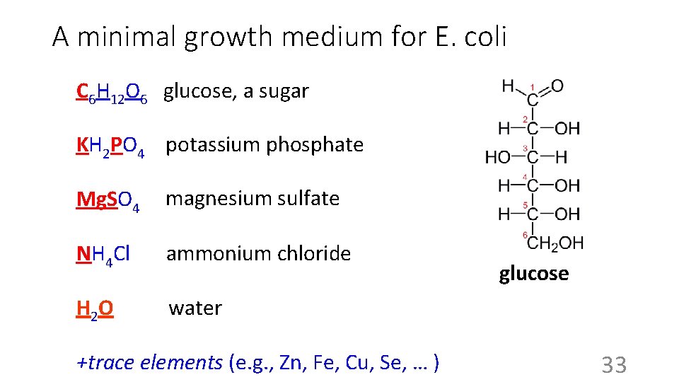 A minimal growth medium for E. coli C 6 H 12 O 6 glucose,