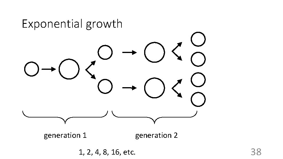 Exponential growth generation 1 generation 2 1, 2, 4, 8, 16, etc. 38 