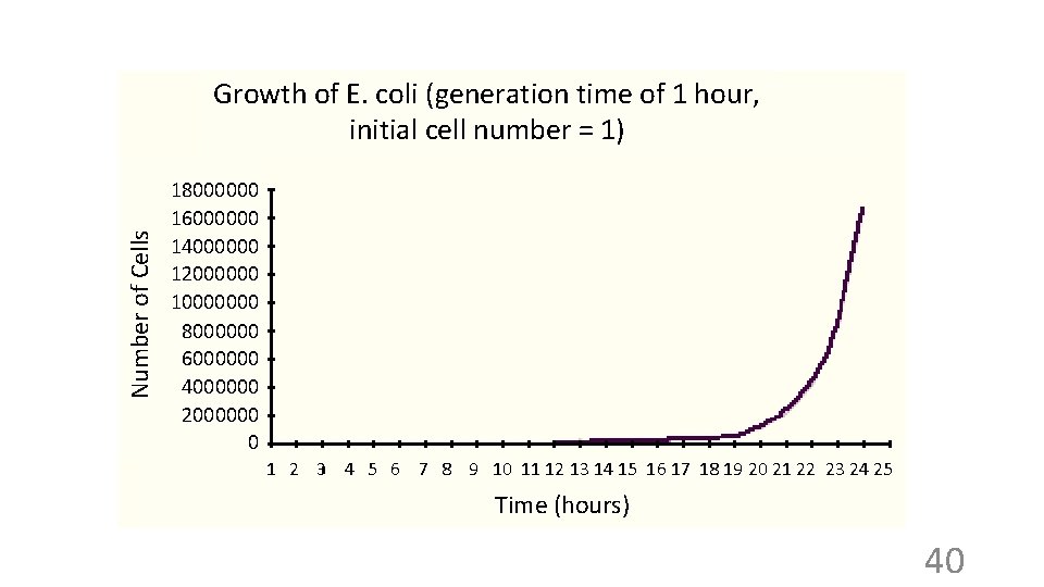 Number of Cells Growth of E. coli (generation time of 1 hour, initial cell