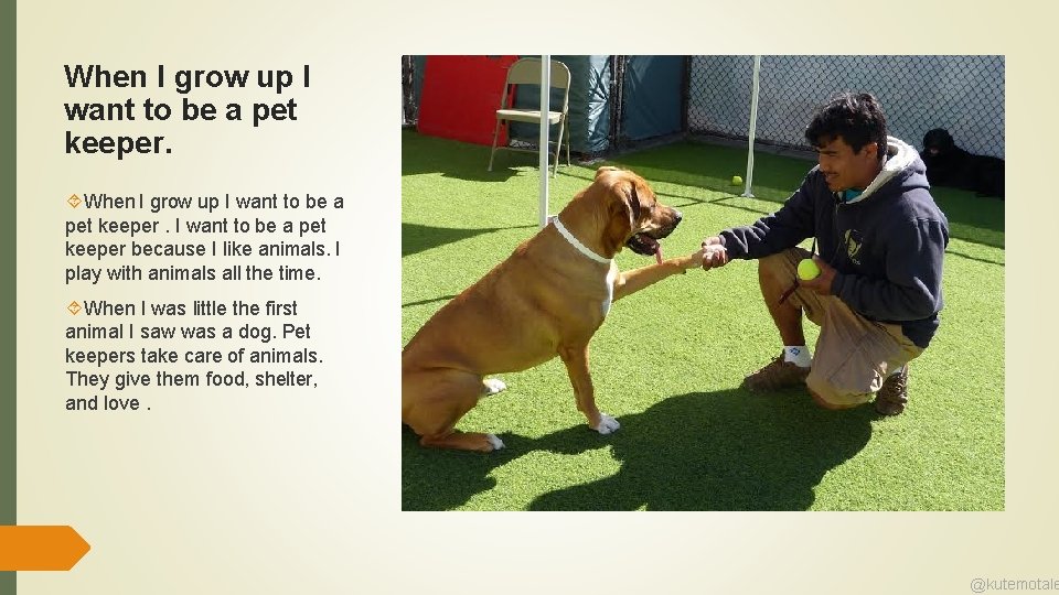 When I grow up I want to be a pet keeper. When I grow