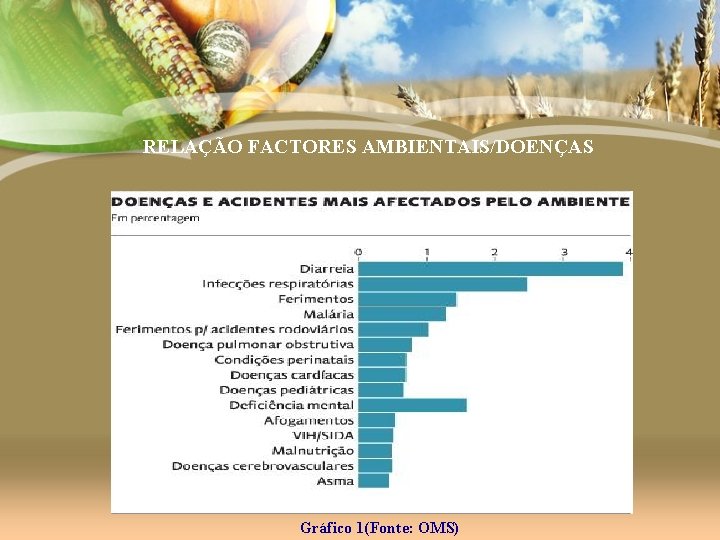 RELAÇÃO FACTORES AMBIENTAIS/DOENÇAS Gráfico 1(Fonte: OMS) 