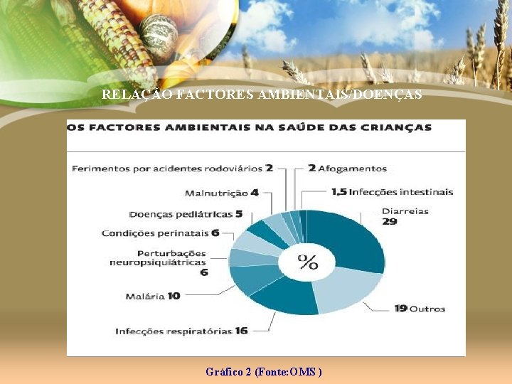 RELAÇÃO FACTORES AMBIENTAIS/DOENÇAS Gráfico 2 (Fonte: OMS ) 