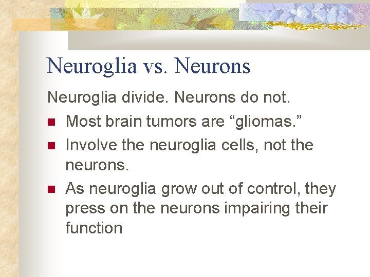 Neuroglia vs. Neurons Neuroglia divide. Neurons do not. Most brain tumors are “gliomas. ”