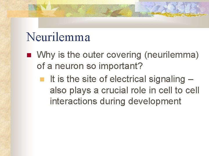 Neurilemma Why is the outer covering (neurilemma) of a neuron so important? It is