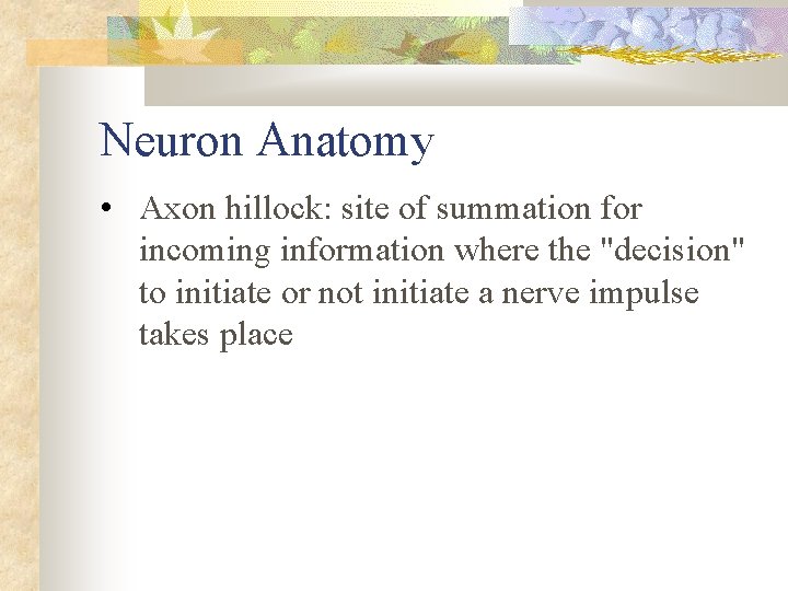 Neuron Anatomy • Axon hillock: site of summation for incoming information where the "decision"