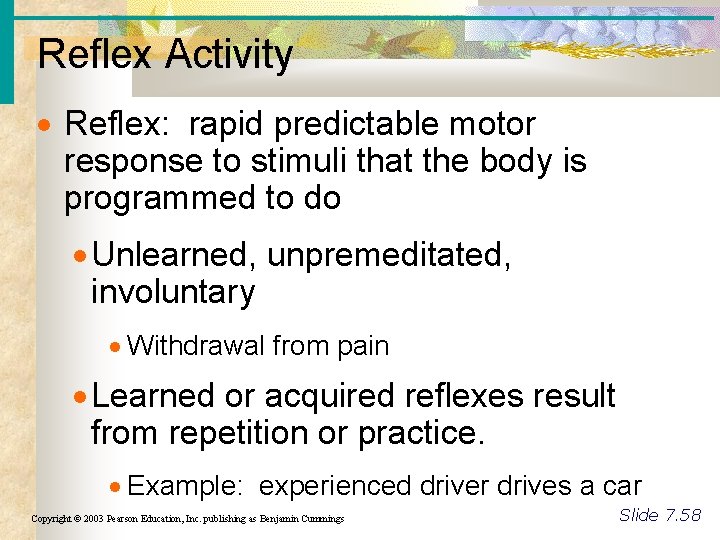 Reflex Activity Reflex: rapid predictable motor response to stimuli that the body is programmed