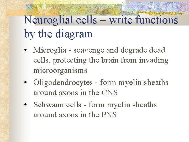 Neuroglial cells – write functions by the diagram • Microglia - scavenge and degrade