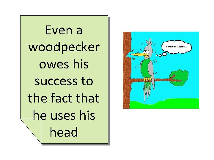 Even a woodpecker owes his success to the fact that he uses his head