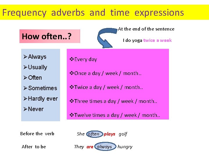 Frequency adverbs and time expressions At the end of the sentence How often. .