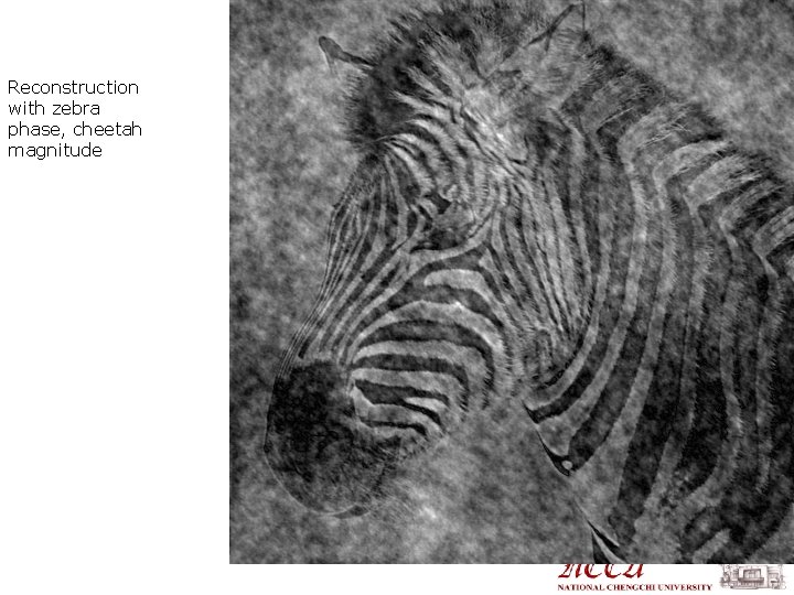 Reconstruction with zebra phase, cheetah magnitude 