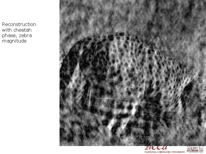 Reconstruction with cheetah phase, zebra magnitude 