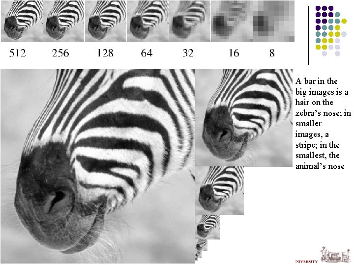 A bar in the big images is a hair on the zebra’s nose; in