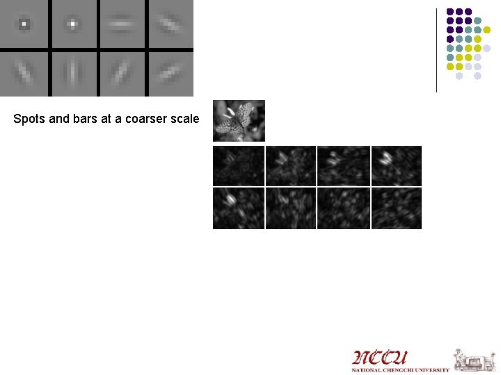 Spots and bars at a coarser scale 