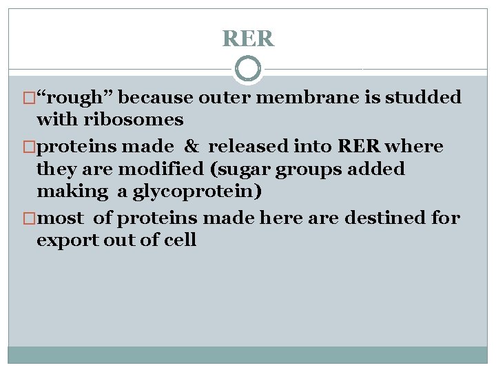 RER �“rough” because outer membrane is studded with ribosomes �proteins made & released into