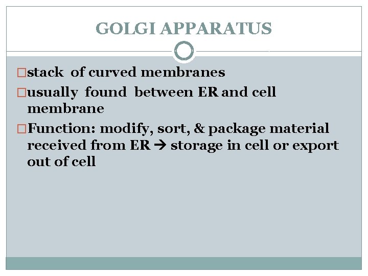 GOLGI APPARATUS �stack of curved membranes �usually found between ER and cell membrane �Function: