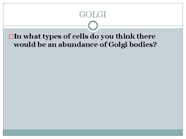 GOLGI �In what types of cells do you think there would be an abundance