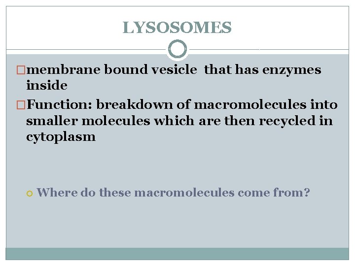 LYSOSOMES �membrane bound vesicle that has enzymes inside �Function: breakdown of macromolecules into smaller