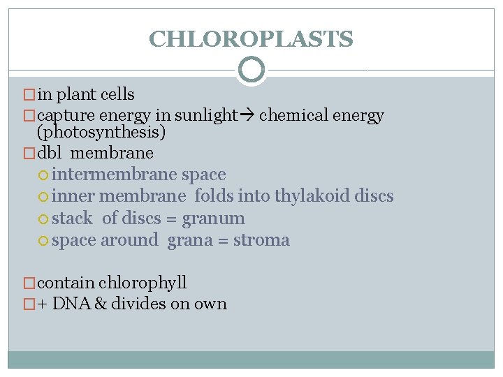 CHLOROPLASTS �in plant cells �capture energy in sunlight chemical energy (photosynthesis) �dbl membrane intermembrane