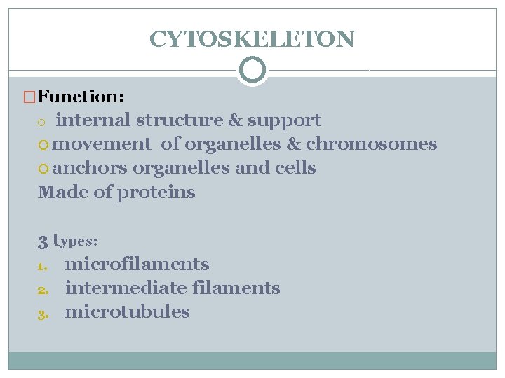 CYTOSKELETON �Function: internal structure & support movement of organelles & chromosomes anchors organelles and