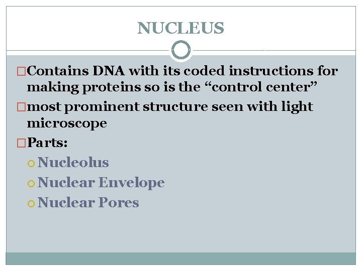 NUCLEUS �Contains DNA with its coded instructions for making proteins so is the “control
