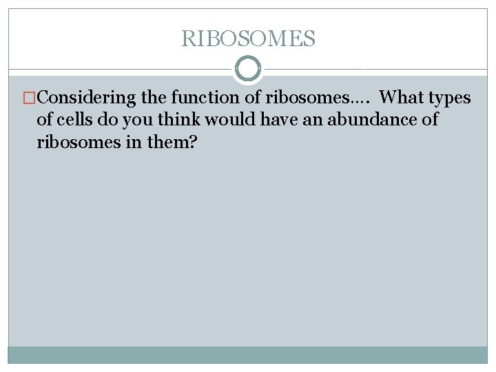 RIBOSOMES �Considering the function of ribosomes…. What types of cells do you think would
