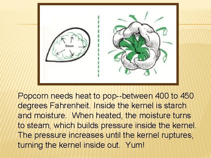 Popcorn needs heat to pop--between 400 to 450 degrees Fahrenheit. Inside the kernel is