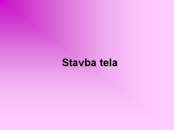 Stavba tela 