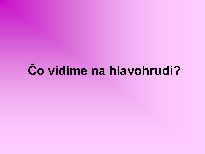 Čo vidíme na hlavohrudi? 