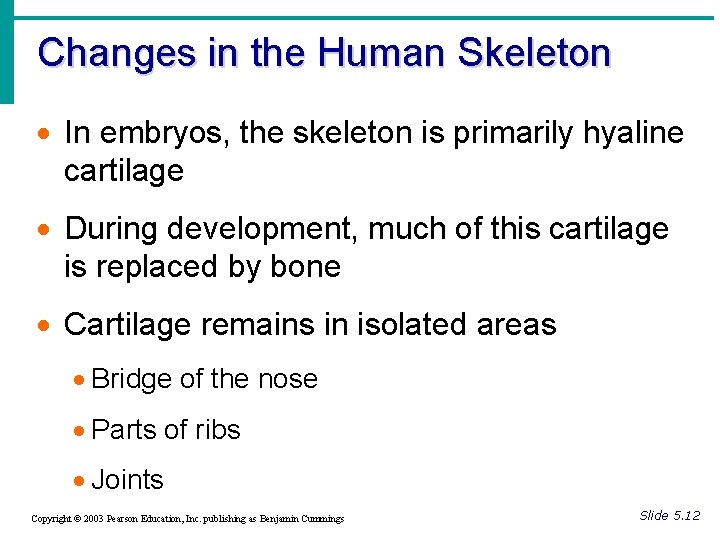 Changes in the Human Skeleton · In embryos, the skeleton is primarily hyaline cartilage