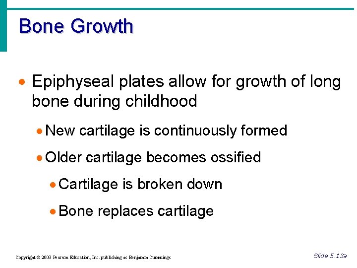 Bone Growth · Epiphyseal plates allow for growth of long bone during childhood ·