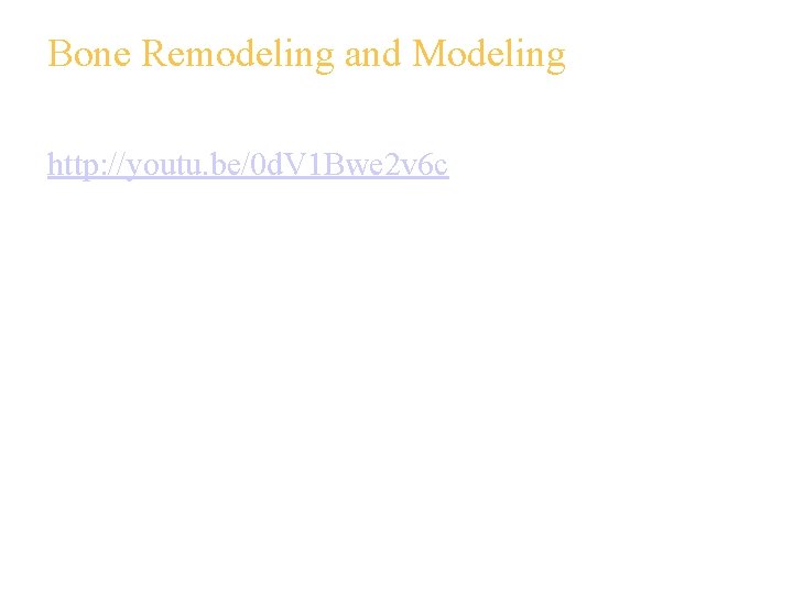 Bone Remodeling and Modeling http: //youtu. be/0 d. V 1 Bwe 2 v 6