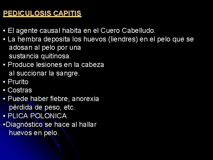 PEDICULOSIS CAPITIS • El agente causal habita en el Cuero Cabelludo. • La hembra