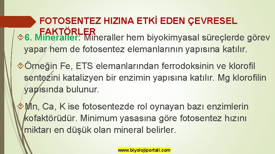 FOTOSENTEZ HIZINA ETKİ EDEN ÇEVRESEL FAKTÖRLER 6. Mineraller: Mineraller hem biyokimyasal süreçlerde görev yapar