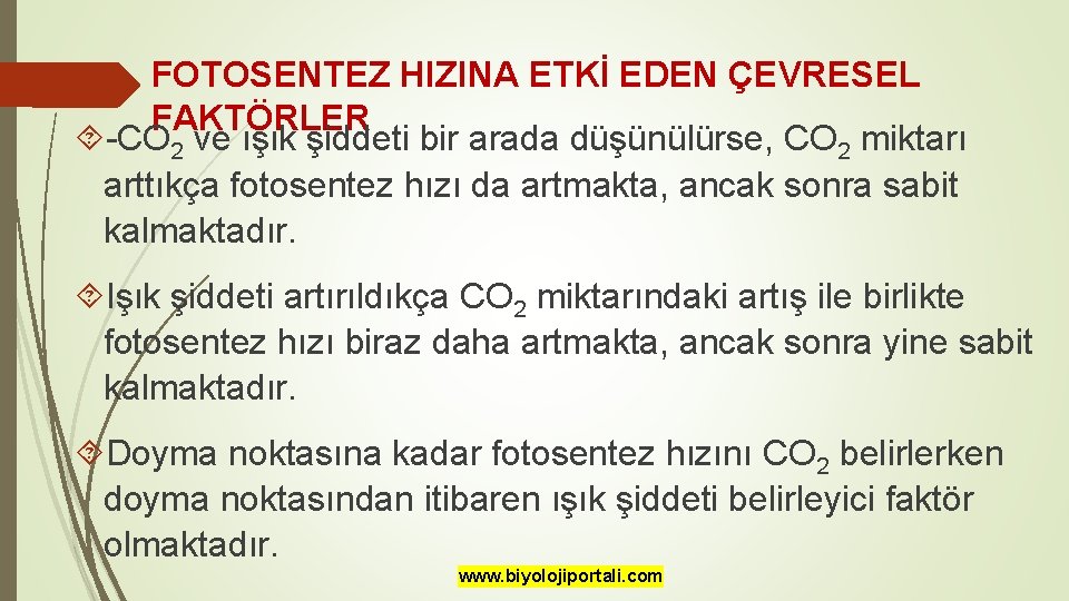 FOTOSENTEZ HIZINA ETKİ EDEN ÇEVRESEL FAKTÖRLER -CO 2 ve ışık şiddeti bir arada düşünülürse,