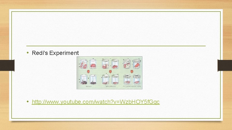  • Redi's Experiment • http: //www. youtube. com/watch? v=Wzb. HOY 5 f. Gqc