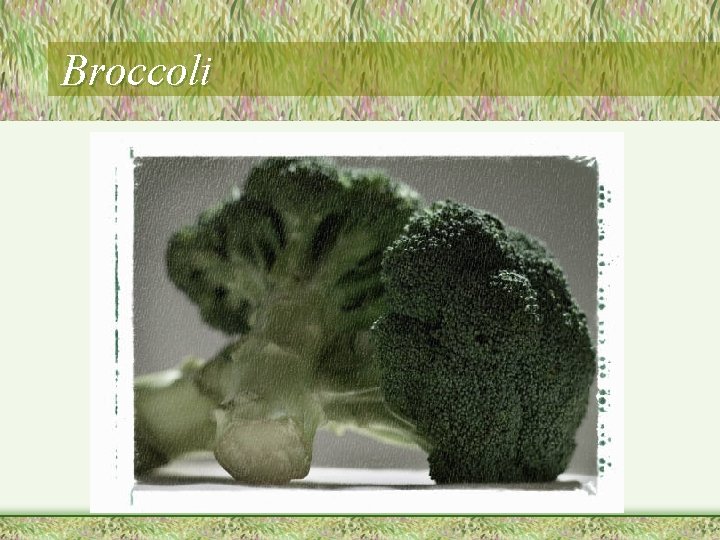 Broccoli 