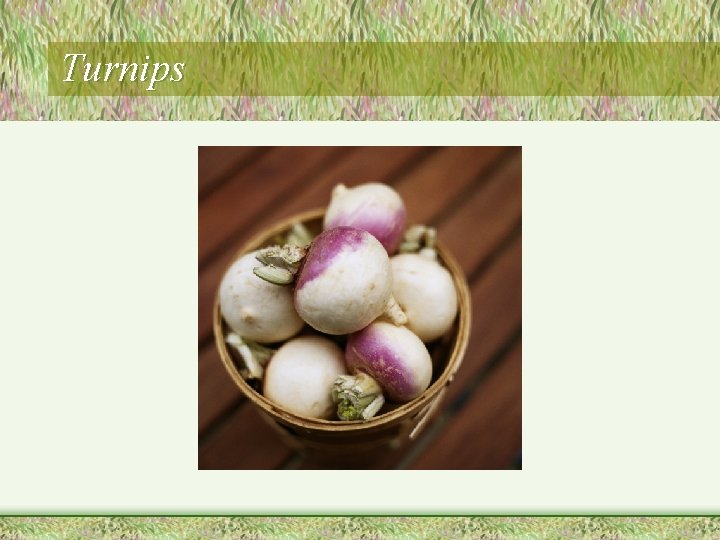 Turnips 
