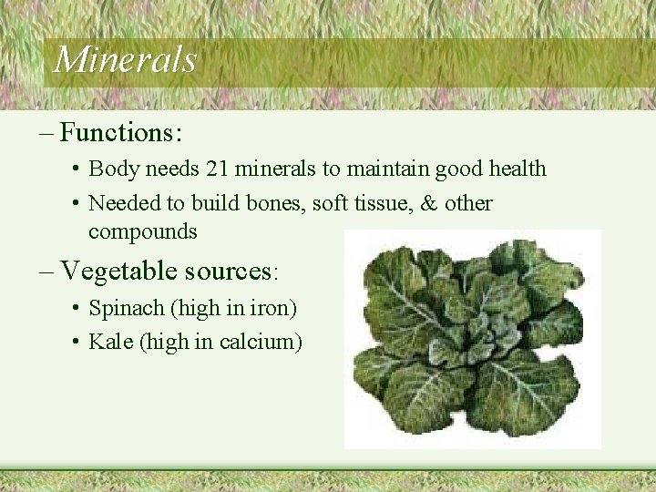 Minerals – Functions: • Body needs 21 minerals to maintain good health • Needed