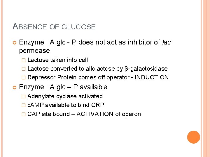 ABSENCE OF GLUCOSE Enzyme IIA glc - P does not act as inhibitor of