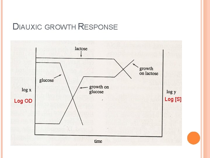 DIAUXIC GROWTH RESPONSE Log OD Log [S] 