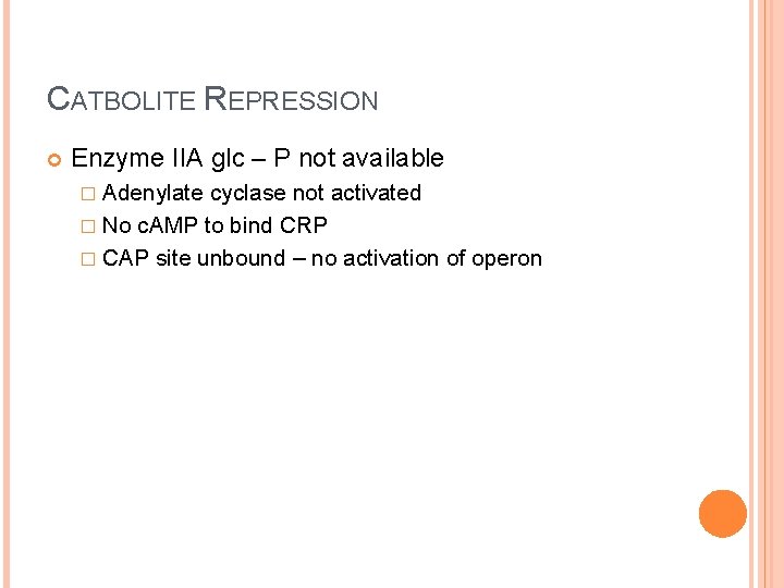 CATBOLITE REPRESSION Enzyme IIA glc – P not available � Adenylate cyclase not activated