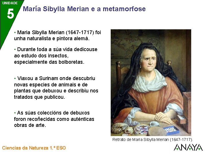 UNIDADE UNIDAD 5 3 María Sibylla Merian e a metamorfose • Maria Sibylla Merian