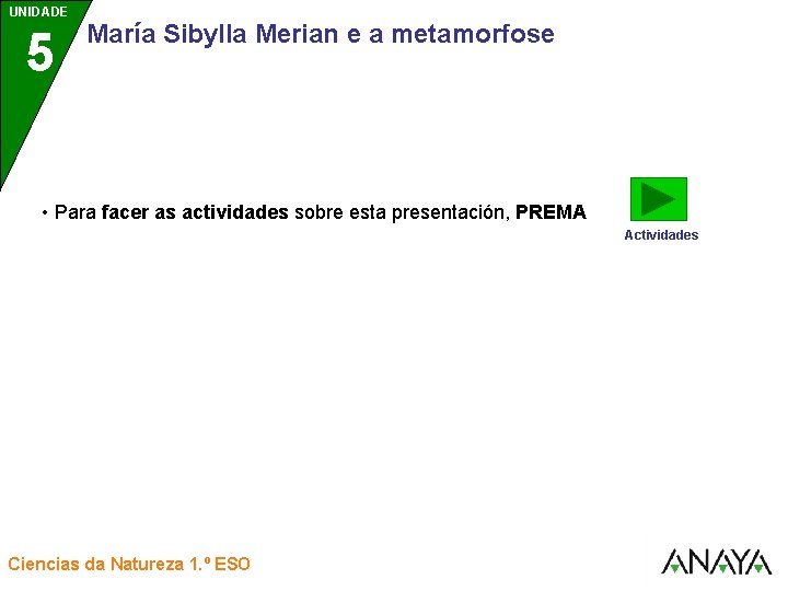 UNIDADE UNIDAD 5 3 María Sibylla Merian e a metamorfose • Para facer as